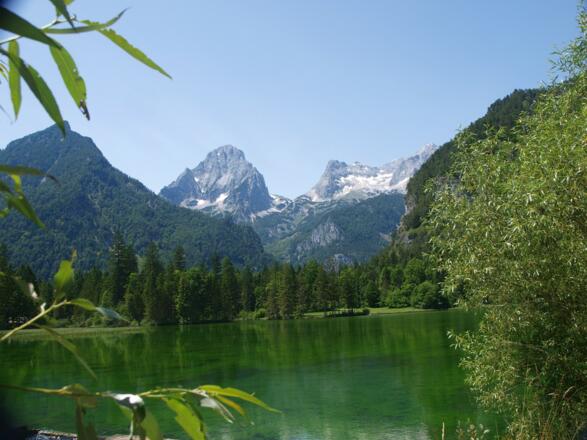 Wieder am Schiderweiher 610m im Stodertal