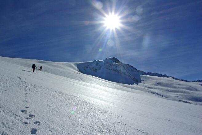 Über den Schwarzensteinkees auf den Gipfel