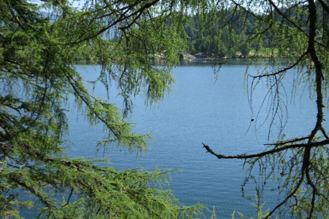 Wieder am Gleinkersee
