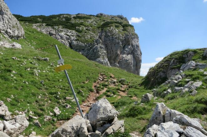 Vom Sattel links hinauf zum Gipfel