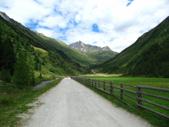Forststrasse Richtung Knutten