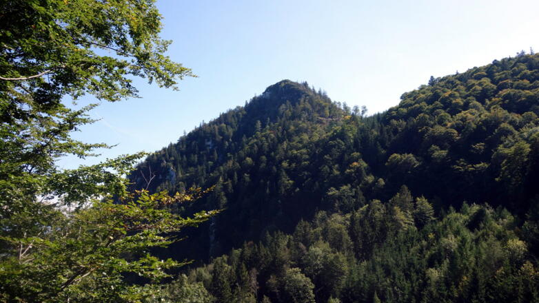 Mittagstein von der Forststraße 1050m im Rückblick