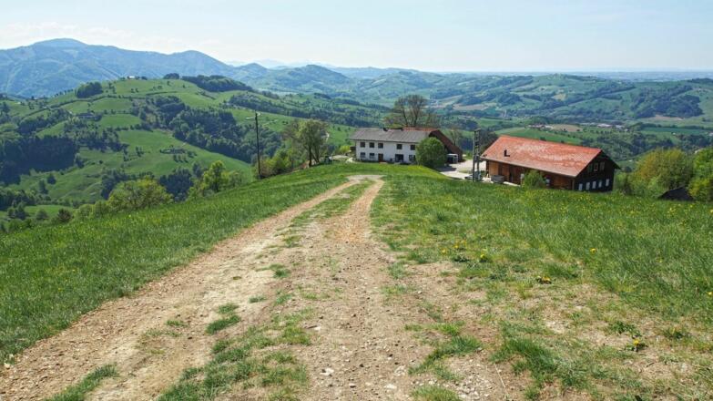 Ziehweg hoch zum Sturzberg, Blick über das Oberösterreichische Alpenvorland