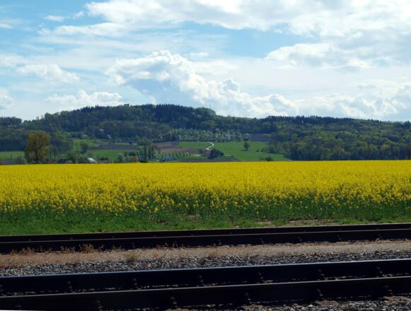 Lilo-Bahn 268m mit Höhenrücken 425m