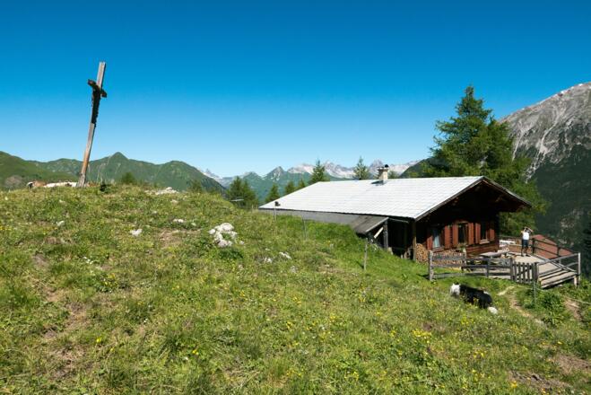 Saxer Alpe. Im Hintergrund die Allgäuer Alpen mit Mädelegabel, Trettachspitze, Hochvogel