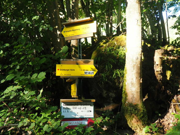 P im Dorngraben 479m