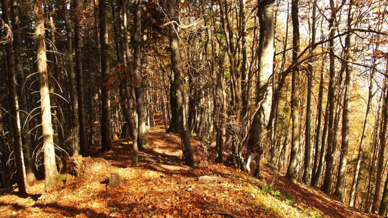 am Weg von der Anton Schosser-Hütte zum Sonnkogel