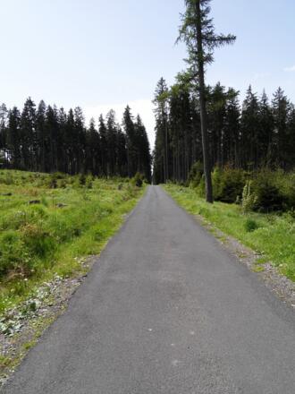 Auf Asphalt- und Waldwegen geht es immer weiter Richtung Süden.