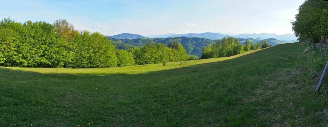 Blick hinüber nach Oberdambach, wo wir vor einigen Stunden von West nach Ost gewandert sind