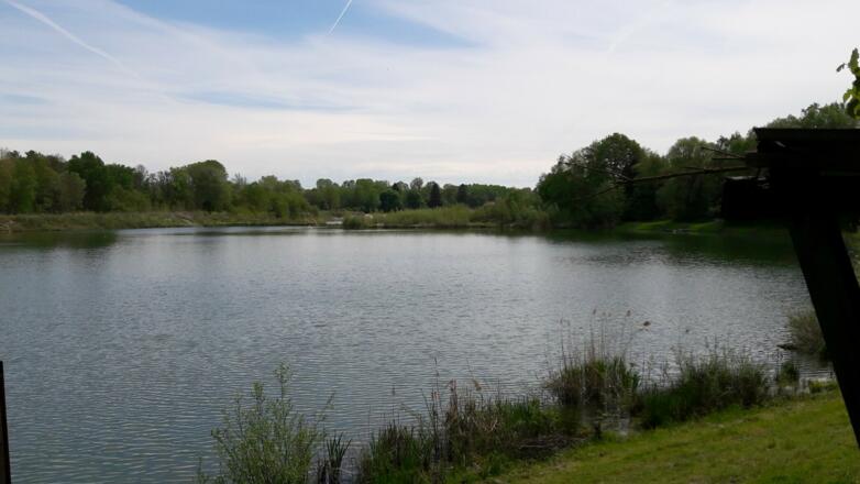 Badesee Greiter an der Donau