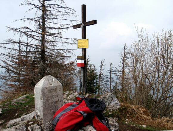 Hochsalmgipfel 1405 m