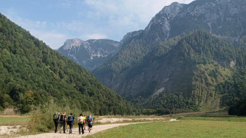 Dem Forstweg entlang in die Hopfing, rechts davon Gelände des Truppenübungsplatzes