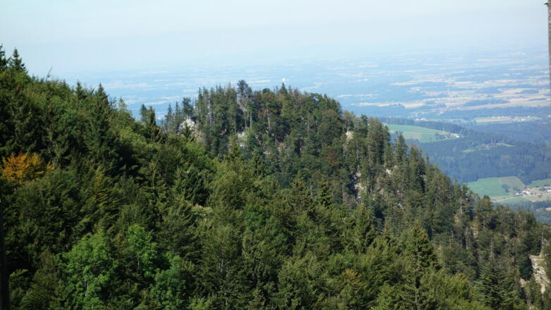 Hutkogel am Rückweg von SO gesehen.