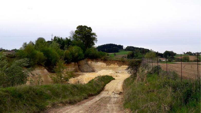 Sandgrube 5 aufgelassen (Brutstätte Bienenfresser nicht stören))