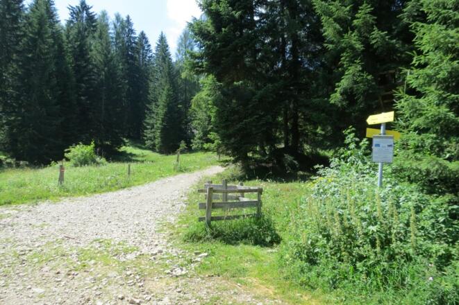Weggabelung unterhalb der Tommerlalm
