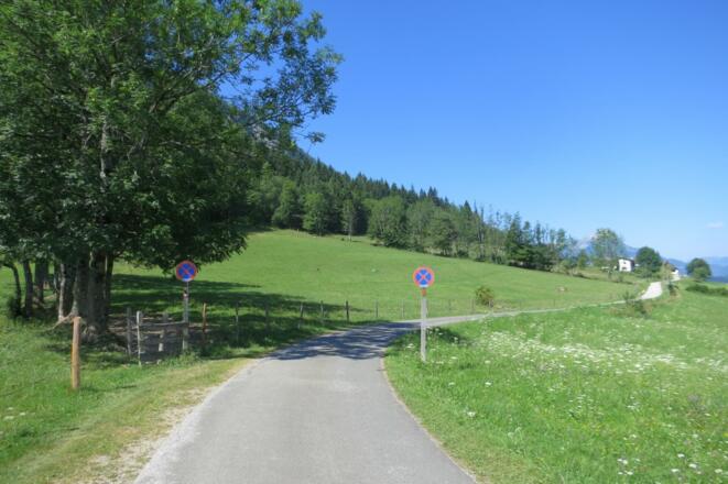 Abzweigung nach Gasthaus Tommerl