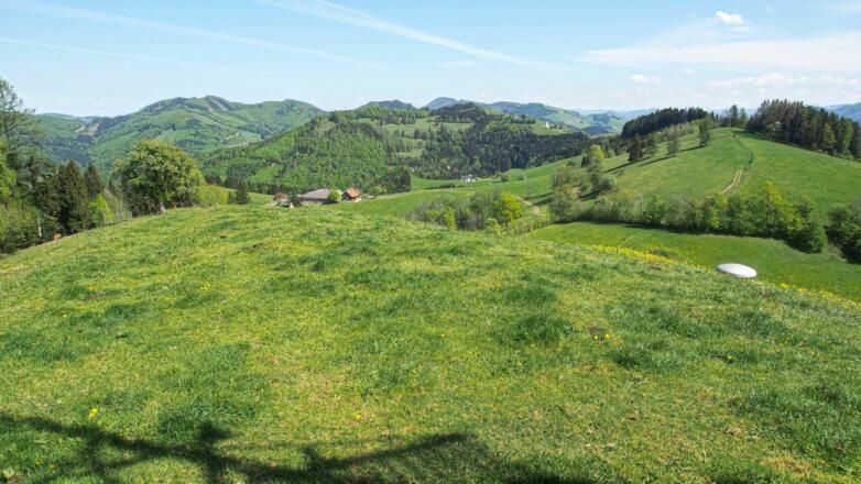 Vom Sturzberg nach osten über die vor uns liegenden Hügel