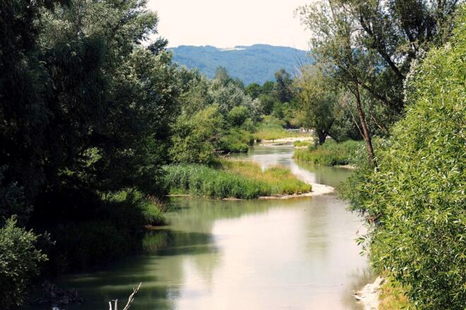 Aschach-Brücke bei Brandstatt