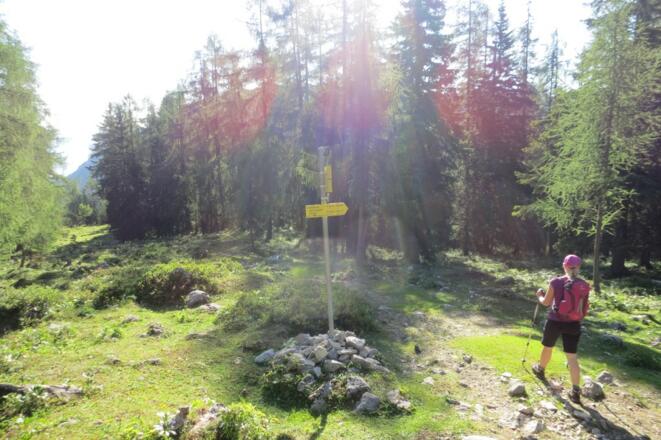 Abzweigung unterhalb der Hütte zum Wanderweg 299