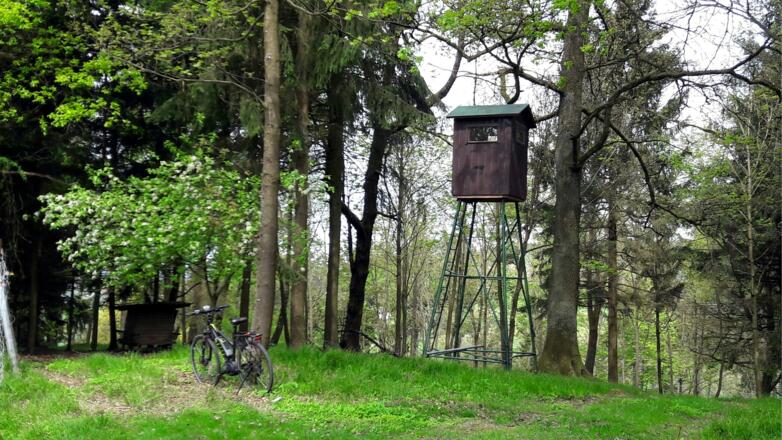 Kirnberg 435m, Gipfelplateau