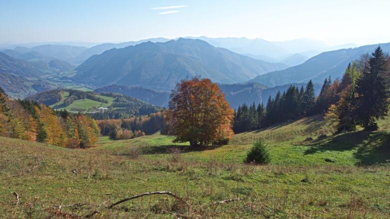 Blick ins Ennstal (Nähe Anton Schosser-Hütte)