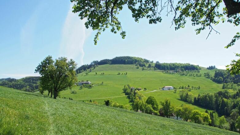 Überquerung der Wiese beim LW &quot;Sturm&quot;