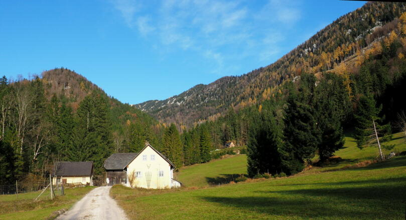 Steyrling Start 610m