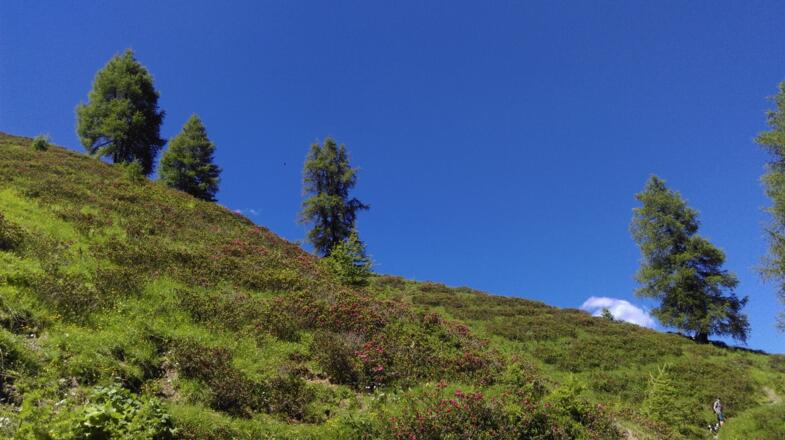 Auf dem Weg von der Saxer Alm zum Alperschonertal