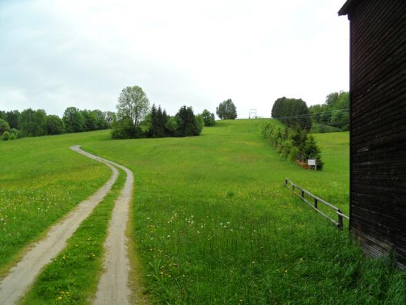 Der letzte Hügel bevor Oberneukirchen erreicht wird.