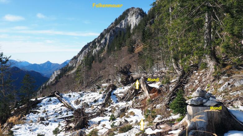 Querung Kahlschlag , Senke ~1340m