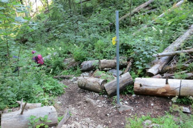 Abstieg durch den Seegraben