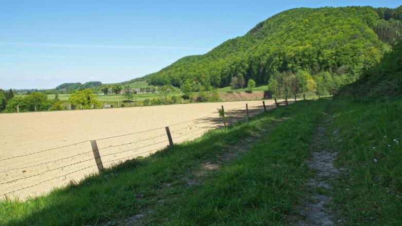Wiesenweg von der Kammergraberstraße, gegenüber der Abstieg vom Windloch den wir am Ende der Runde wieder absteigen.