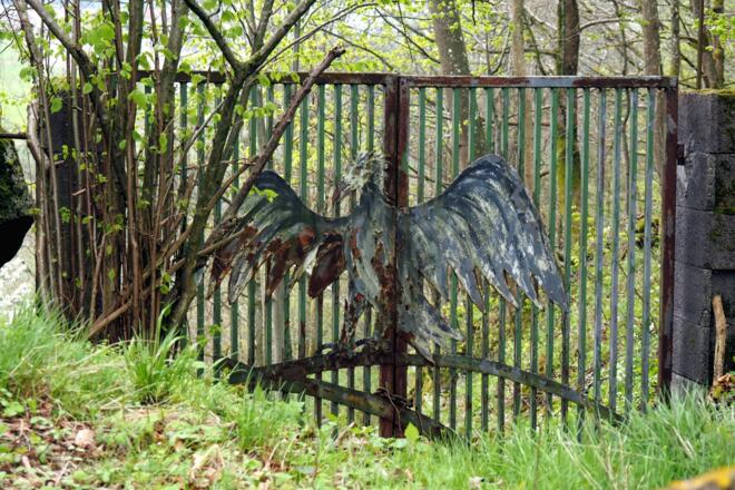 Tor mit Adler bei der Ruine Lichtenhag um 490m