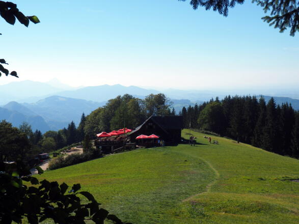 Wiese mit Grünburgerhütte