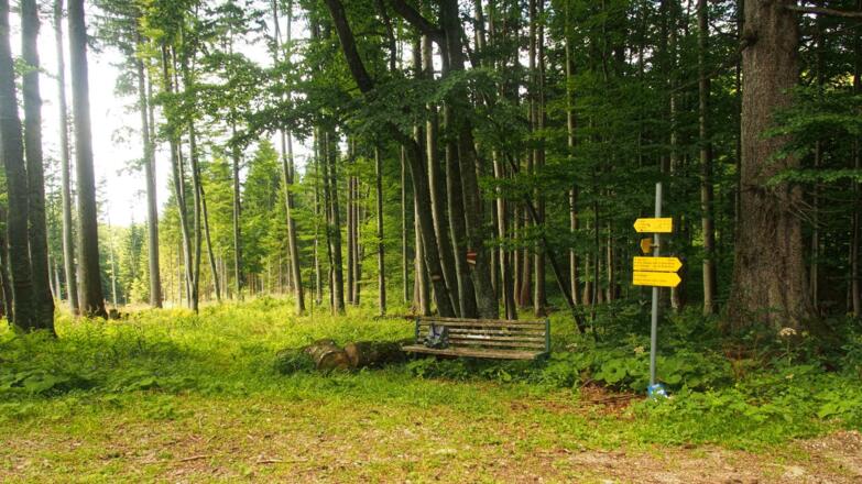 Abzweig des Wanderwegs in Richtung Mösern