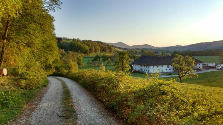 Fast am Ende der Tour: noch einige Meter der Ennstalstraße entlang, dann sind wir am Ziel.