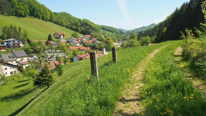Kurz bevor wir dem Dambachtal entsteigen