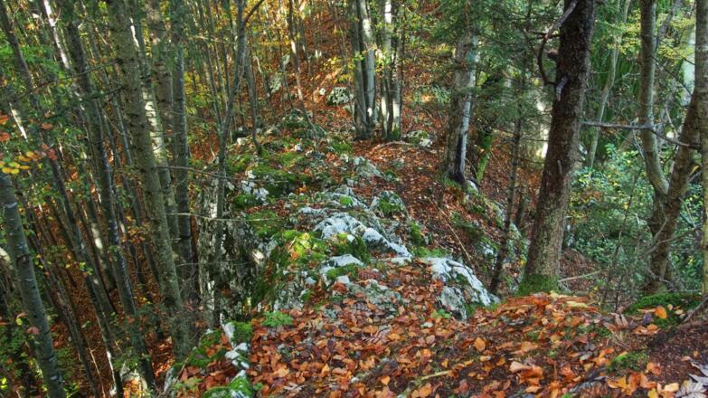 Vom Schratlboden stiegt man diese kleine Felsrampe ab.