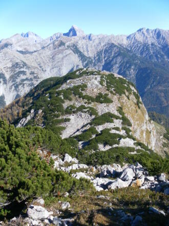 Brandlkogel. Segenbaumanstieg von rechts.
