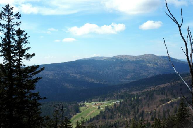Stinglfelsen 1260m mit Plöckensteinblick