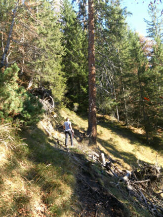 unmarkierte Waldpfade