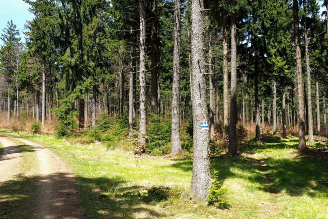 Blau-weiße Markierungen, Nordwaldkamm-Weg E6