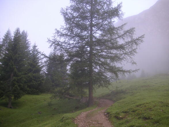 Auf dem Weg zur Steinseehütte