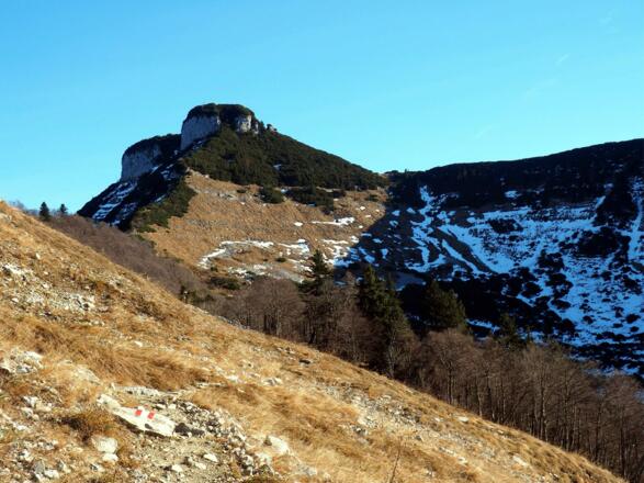 Blick vom Hinterriedl zum Schmittenstein