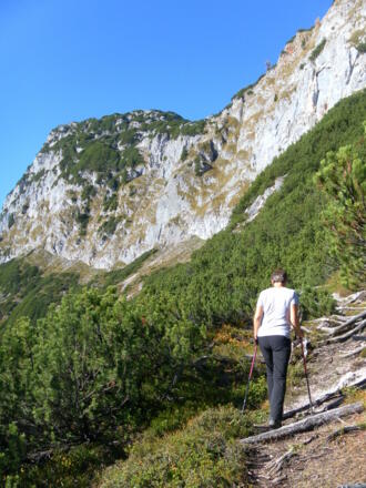 Querung zum Segenbaumanstieg in der Fallinie der zentralen Bäume