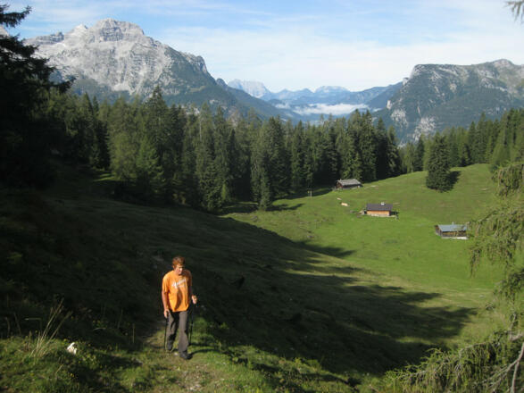 Scheffnother Alm und Ochsenhorn