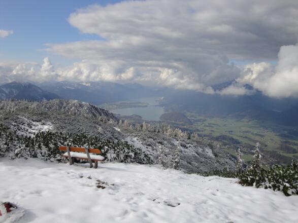 Am Hainzen im Oktober nach einem plötzlichen Wintereinbruch