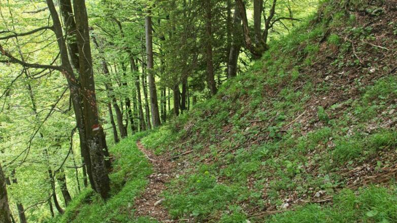 Kurzer Abstieg vom Sattel