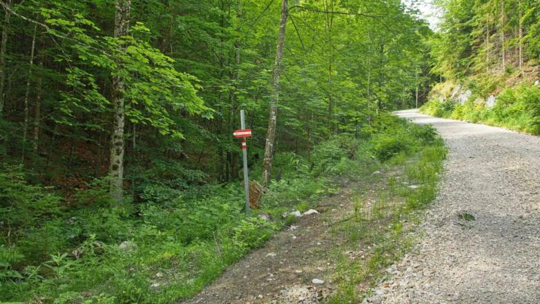 Markanter Wegweiser auf der unteren Forststraße