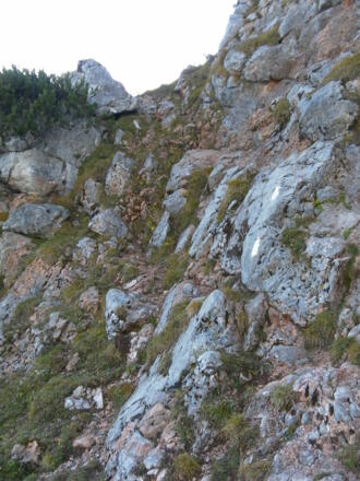 Schrofenrinnen vom Ostgratrücken